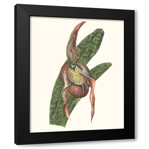 Orchid Display IV Black Modern Wood Framed Art Print with Double Matting by Wang, Melissa