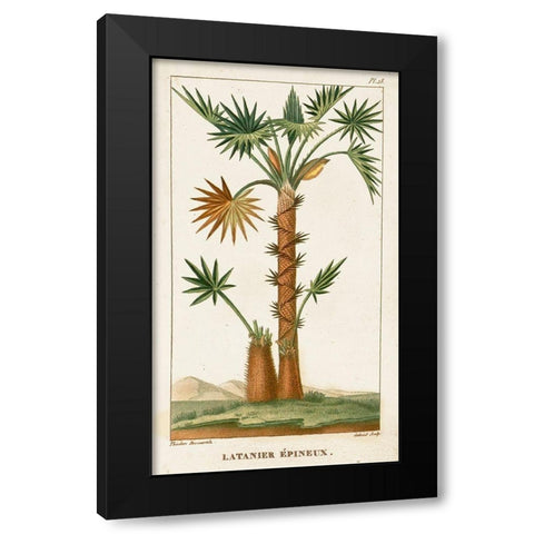 Turpin Exotic Palms I Black Modern Wood Framed Art Print by Turpin
