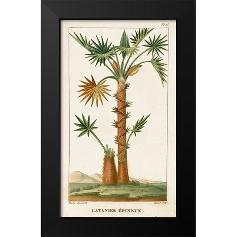 Turpin Exotic Palms I Black Modern Wood Framed Art Print by Turpin