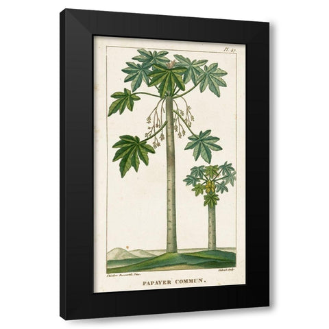 Turpin Exotic Palms II Black Modern Wood Framed Art Print with Double Matting by Turpin