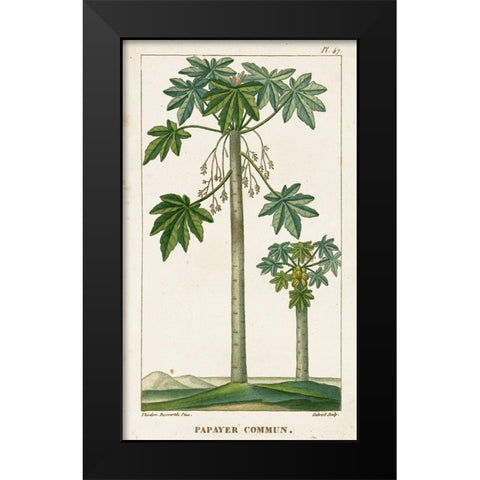 Turpin Exotic Palms II Black Modern Wood Framed Art Print by Turpin