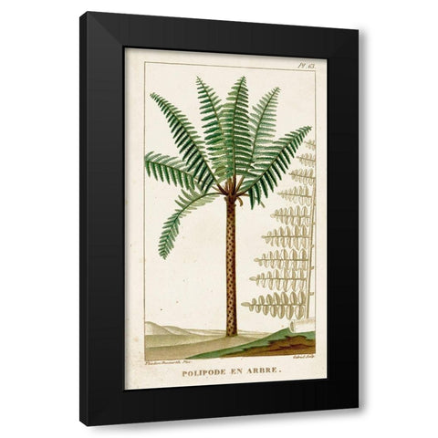 Turpin Exotic Palms III Black Modern Wood Framed Art Print with Double Matting by Turpin