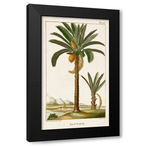 Turpin Exotic Palms IV Black Modern Wood Framed Art Print with Double Matting by Turpin