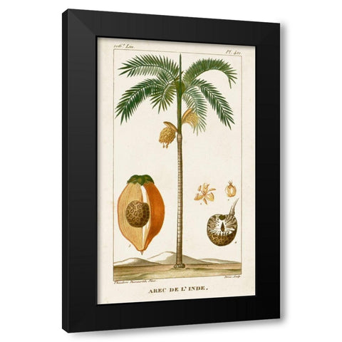 Turpin Exotic Palms V Black Modern Wood Framed Art Print by Turpin