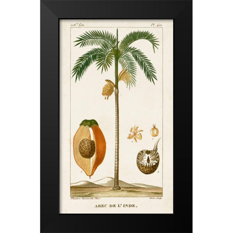Turpin Exotic Palms V Black Modern Wood Framed Art Print by Turpin