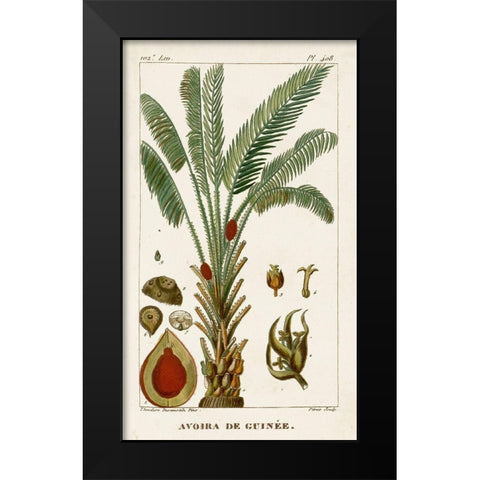 Turpin Exotic Palms VI Black Modern Wood Framed Art Print by Turpin