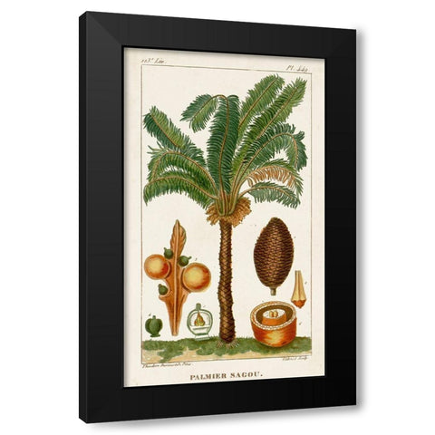 Turpin Exotic Palms VII Black Modern Wood Framed Art Print with Double Matting by Turpin