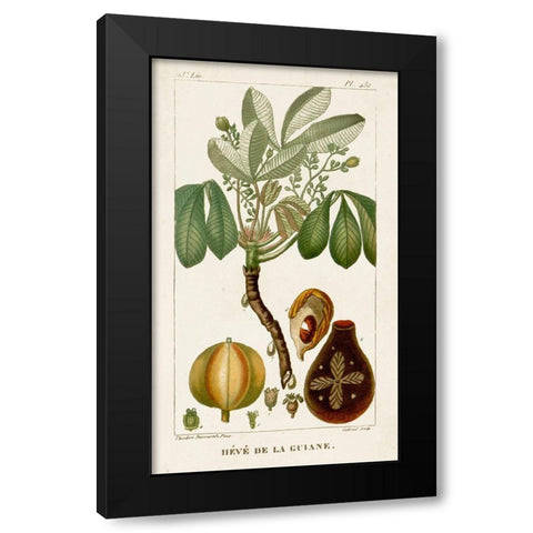 Turpin Exotic Palms VIII Black Modern Wood Framed Art Print with Double Matting by Turpin
