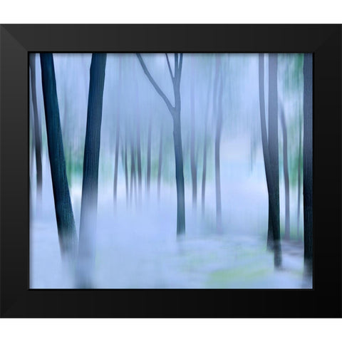 Misty Mountains XVI Black Modern Wood Framed Art Print by McLoughlin, James