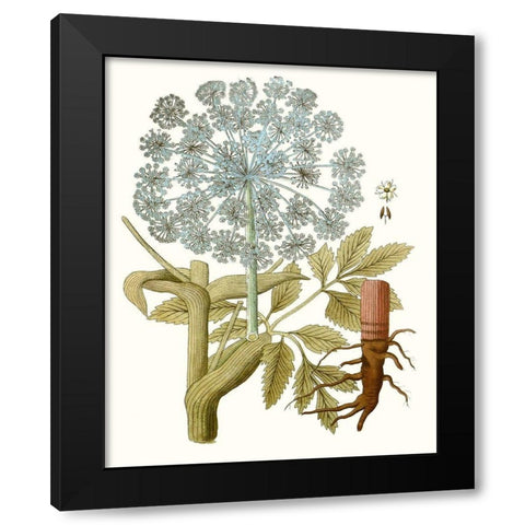 Lacy Leaves III Black Modern Wood Framed Art Print by Unknown