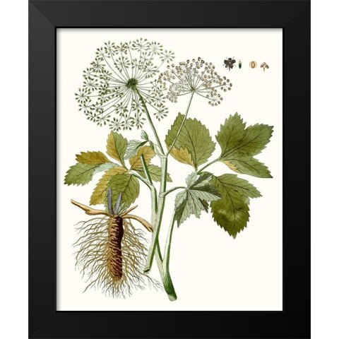 Lacy Leaves IV Black Modern Wood Framed Art Print by Unknown