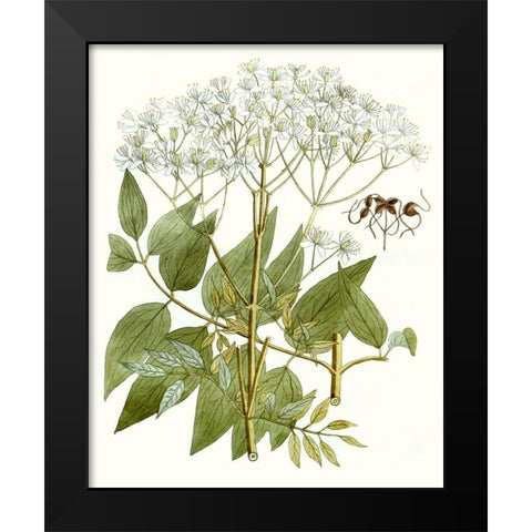 Lacy Leaves V Black Modern Wood Framed Art Print by Unknown