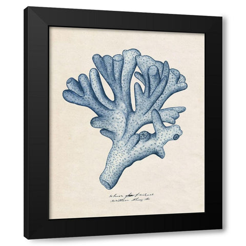 Sea Coral Study I Black Modern Wood Framed Art Print with Double Matting by Wang, Melissa