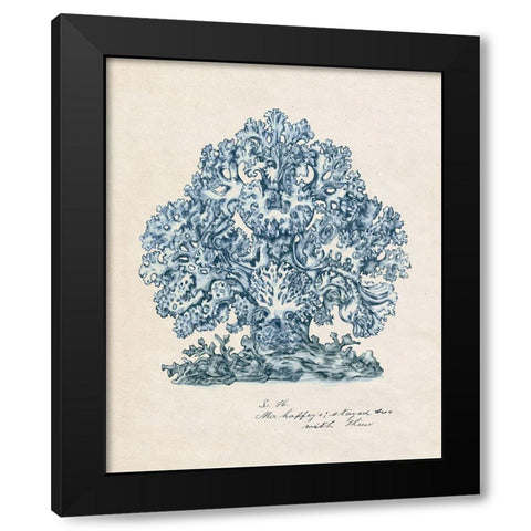 Sea Coral Study II Black Modern Wood Framed Art Print with Double Matting by Wang, Melissa