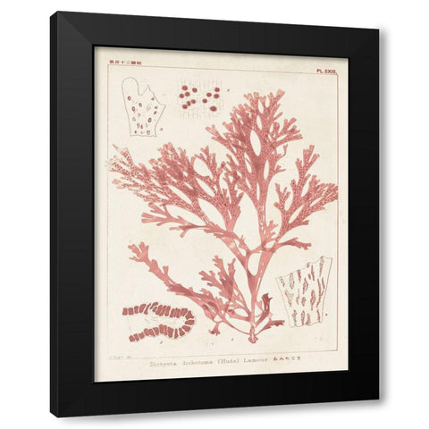 Antique Coral Seaweed I Black Modern Wood Framed Art Print by Vision Studio