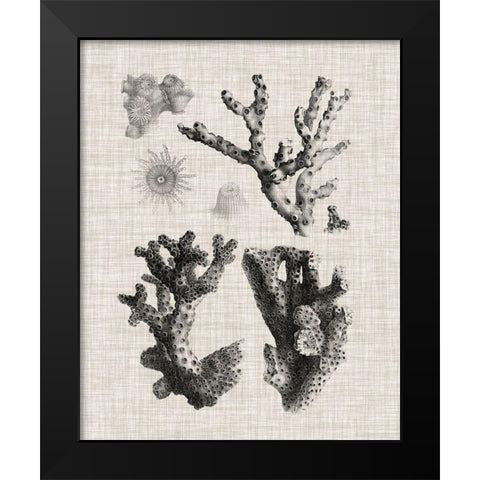 Coral Specimen I Black Modern Wood Framed Art Print by Vision Studio