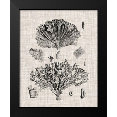 Coral Specimen III Black Modern Wood Framed Art Print by Vision Studio