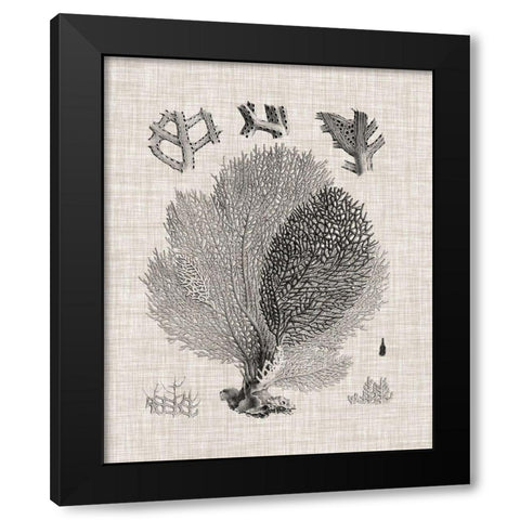 Coral Specimen VI Black Modern Wood Framed Art Print with Double Matting by Vision Studio