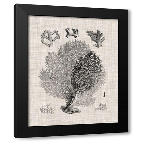 Coral Specimen VI Black Modern Wood Framed Art Print by Vision Studio