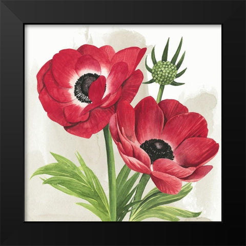 Crimson Anemones I Black Modern Wood Framed Art Print by Popp, Grace