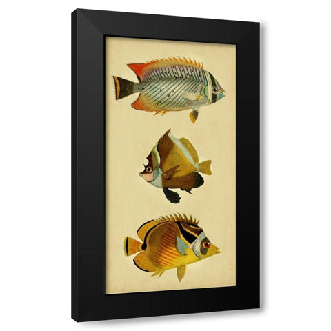 Trio of Tropical Fish II Black Modern Wood Framed Art Print with Double Matting by Vision Studio