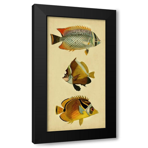 Trio of Tropical Fish II Black Modern Wood Framed Art Print by Vision Studio