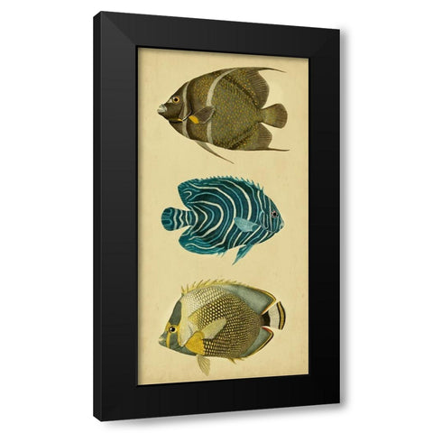 Trio of Tropical Fish III Black Modern Wood Framed Art Print with Double Matting by Vision Studio