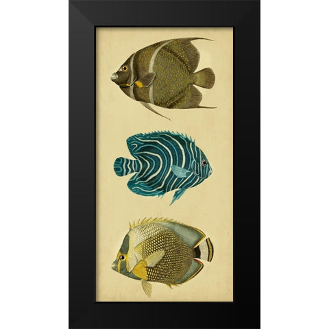 Trio of Tropical Fish III Black Modern Wood Framed Art Print by Vision Studio