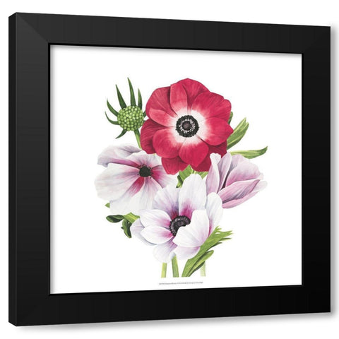 Anemone Blooms I Black Modern Wood Framed Art Print by Popp, Grace