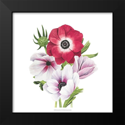 Anemone Blooms I Black Modern Wood Framed Art Print by Popp, Grace