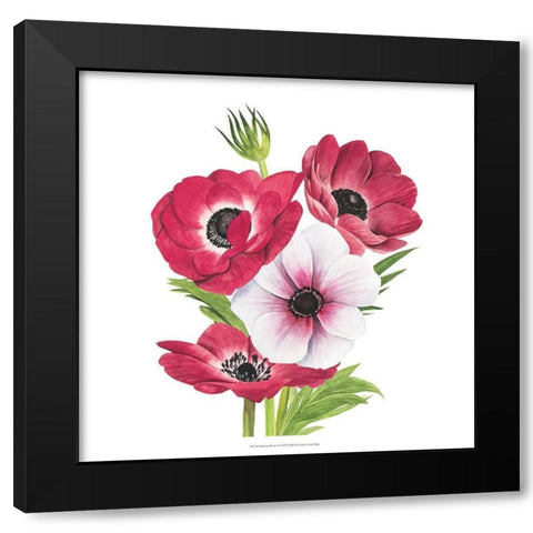 Anemone Blooms II Black Modern Wood Framed Art Print by Popp, Grace
