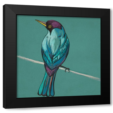 Winged Sketch I on Teal Black Modern Wood Framed Art Print with Double Matting by Zarris, Chariklia