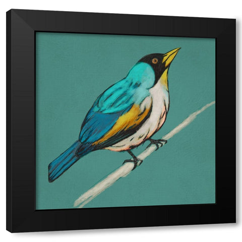 Winged Sketch II on Teal Black Modern Wood Framed Art Print with Double Matting by Zarris, Chariklia