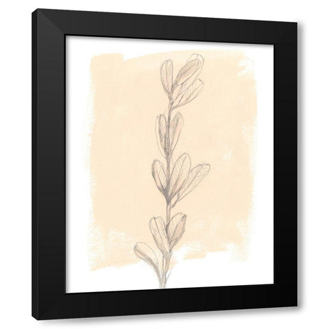 Branch on Blush II Black Modern Wood Framed Art Print with Double Matting by Goldberger, Jennifer