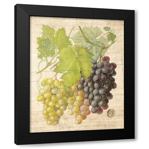 Grapevine I Black Modern Wood Framed Art Print with Double Matting by Nobleworks Inc.