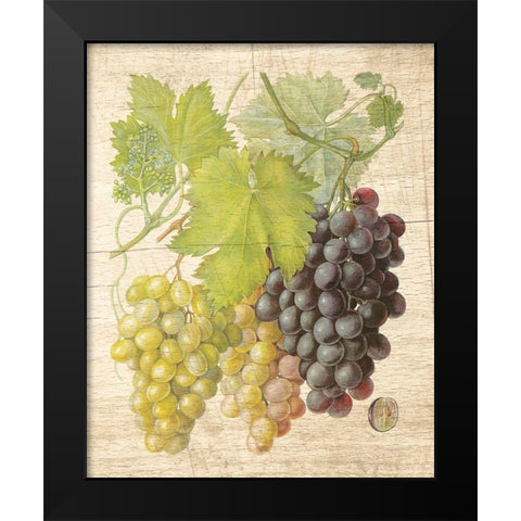 Grapevine I Black Modern Wood Framed Art Print by Nobleworks Inc.