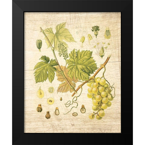 Grapevine II Black Modern Wood Framed Art Print by Nobleworks Inc.