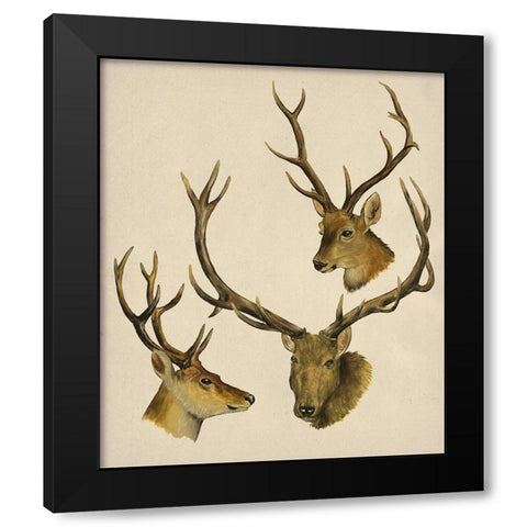 Wild World I Black Modern Wood Framed Art Print by Wang, Melissa