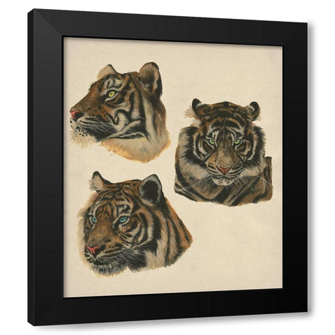 Wild World II Black Modern Wood Framed Art Print by Wang, Melissa