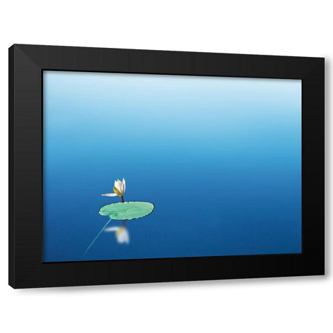 Lilypad I Black Modern Wood Framed Art Print by McLoughlin, James