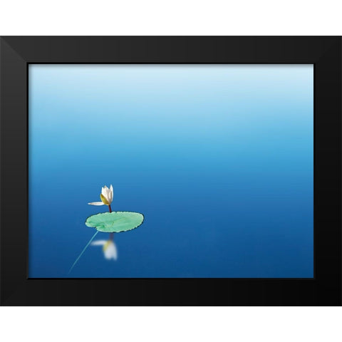 Lilypad I Black Modern Wood Framed Art Print by McLoughlin, James