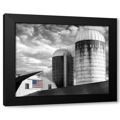 Flags of Our Farmers II Black Modern Wood Framed Art Print with Double Matting by McLoughlin, James