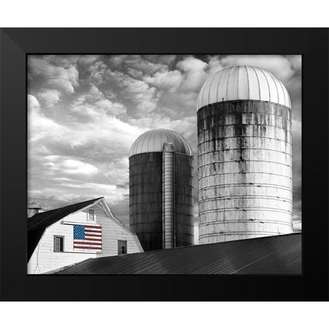 Flags of Our Farmers II Black Modern Wood Framed Art Print by McLoughlin, James
