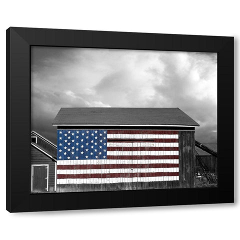 Flags of Our Farmers IX Black Modern Wood Framed Art Print by McLoughlin, James