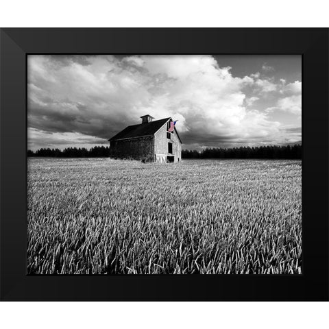 Flags of Our Farmers XIII Black Modern Wood Framed Art Print by McLoughlin, James