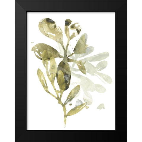 Lichen and Leaves I Black Modern Wood Framed Art Print by Vess, June Erica