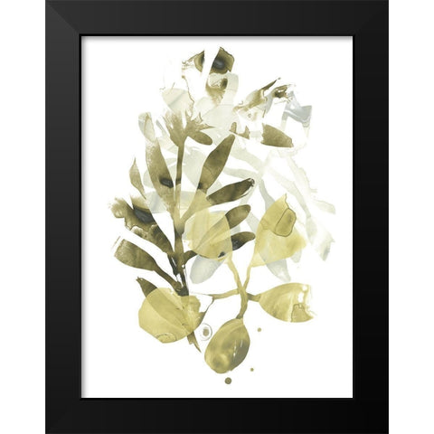 Lichen and Leaves II Black Modern Wood Framed Art Print by Vess, June Erica