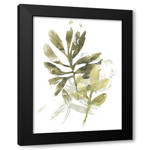 Lichen and Leaves III Black Modern Wood Framed Art Print by Vess, June Erica