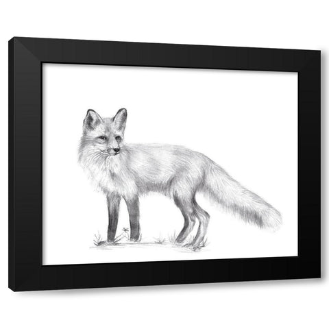 Wildlife Trail I Black Modern Wood Framed Art Print by Wang, Melissa