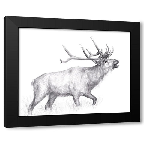 Wildlife Trail II Black Modern Wood Framed Art Print with Double Matting by Wang, Melissa